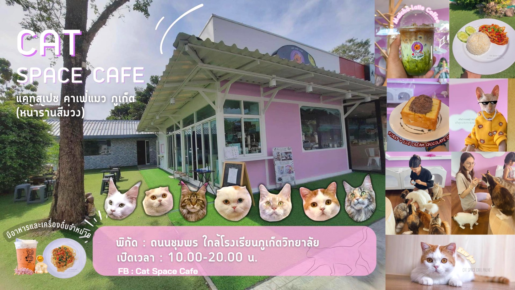 Cat Space Cafe Phuket