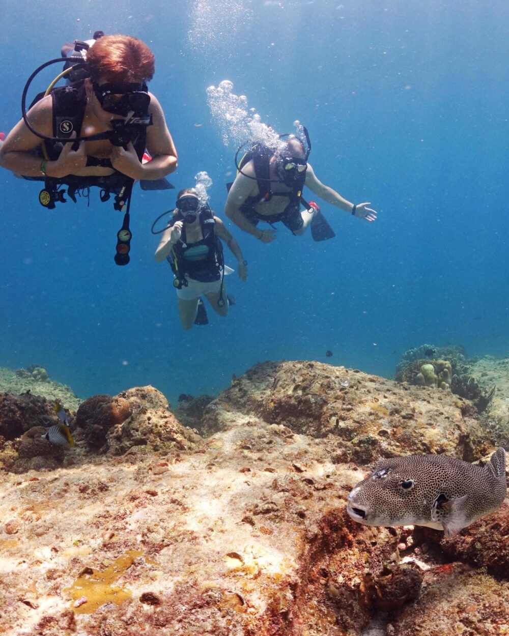 Blue Dive center