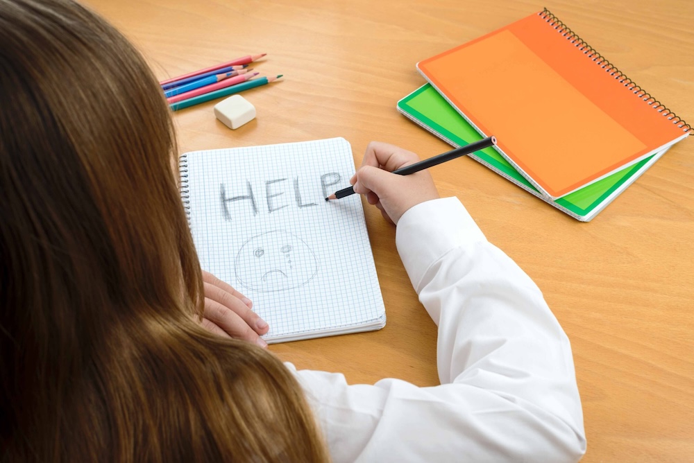 Learning Support
