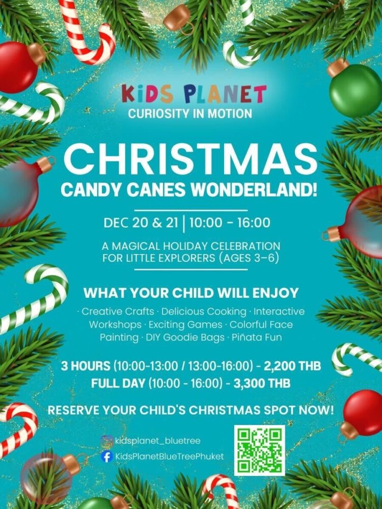 Christmas Candy Canes Wonderland