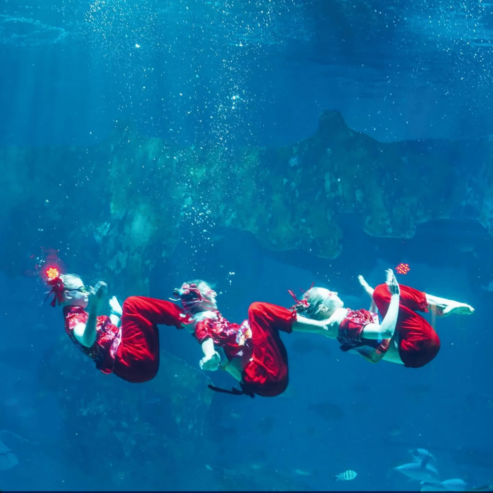Aquaria Phuket Celebrate Chinese New Year