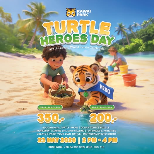 Rawai Park Turtle Heroes Day