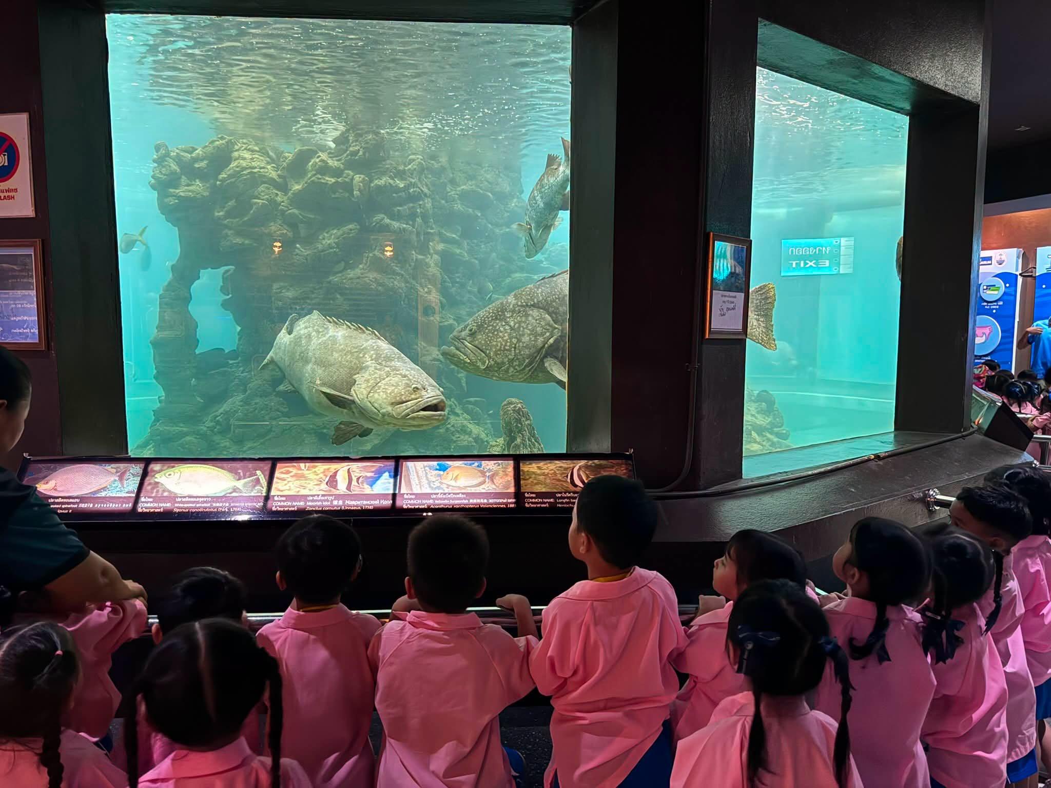 Phuket Aquarium