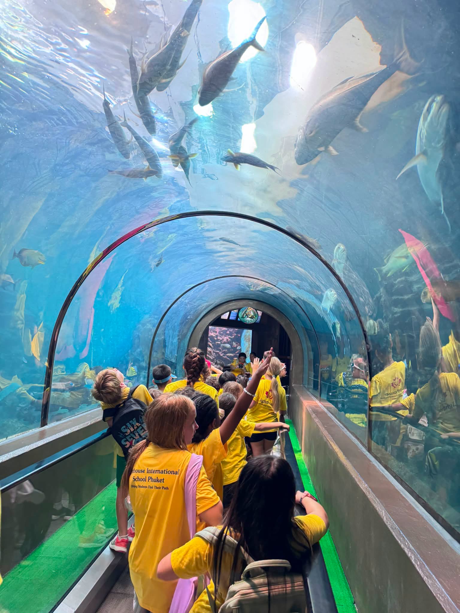 Phuket Aquarium