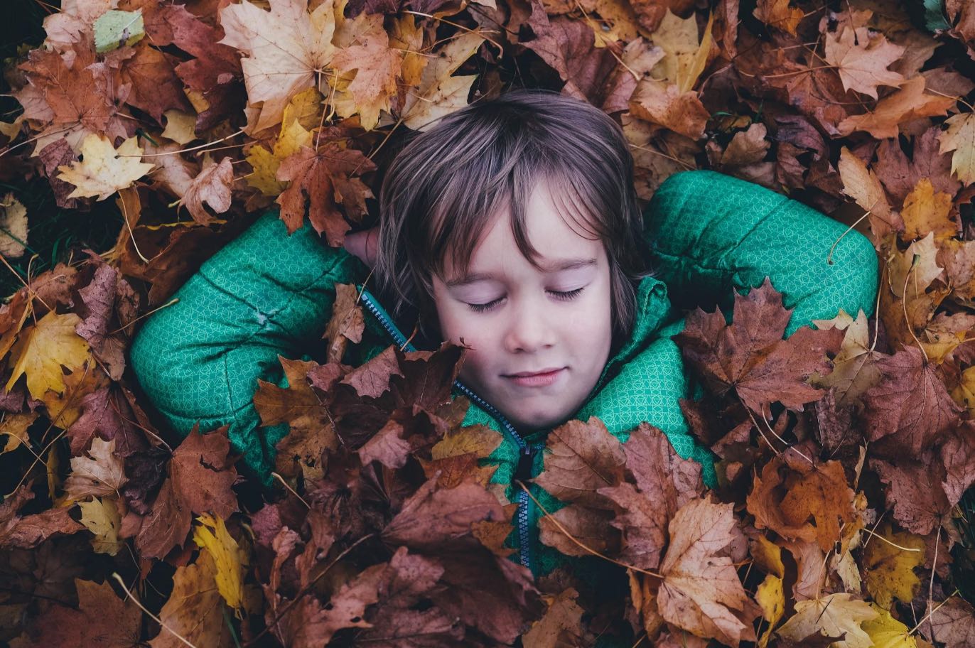 The Benefits of Forest School